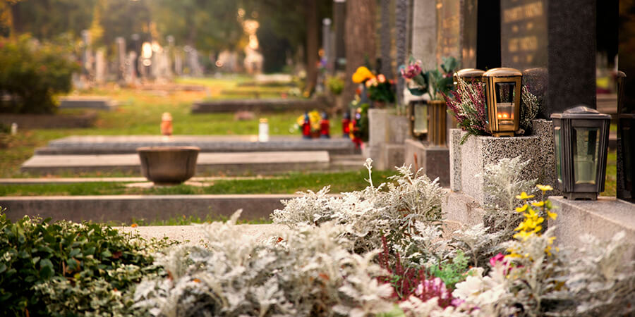 Bestattungen Aarau | Blick über verschiedene Gräber