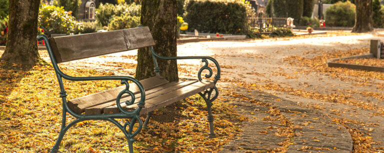 Bestattungen in Luzern | Sitzbank auf Friedhof im Herbst