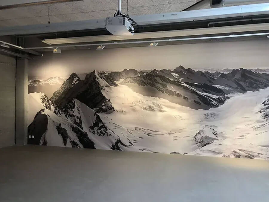 Malerarbeiten in Wetzikon | Wandtapete mit schneebedeckten Bergen